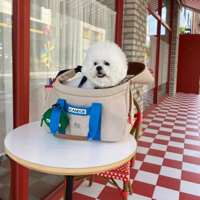 海外犬服 高品質なインポートのドッグウェア通販 