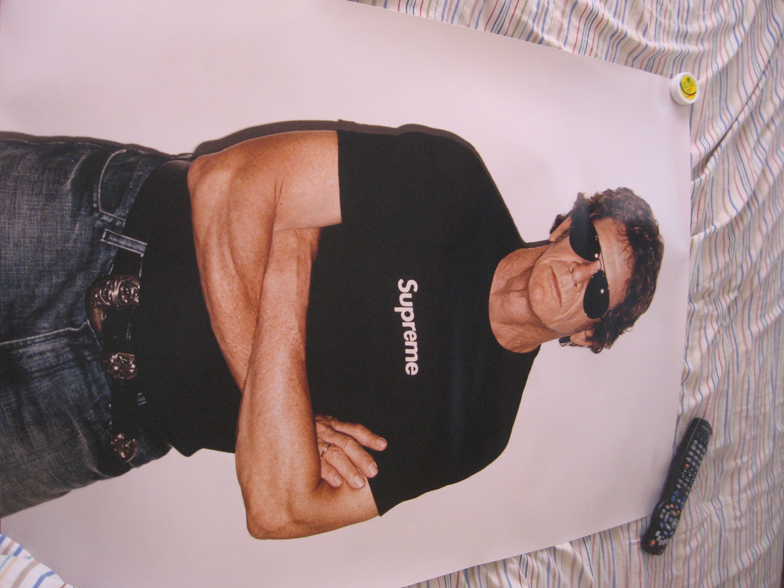 Lou Reed Supreme Poster 2025 | www.takertrailers.ee