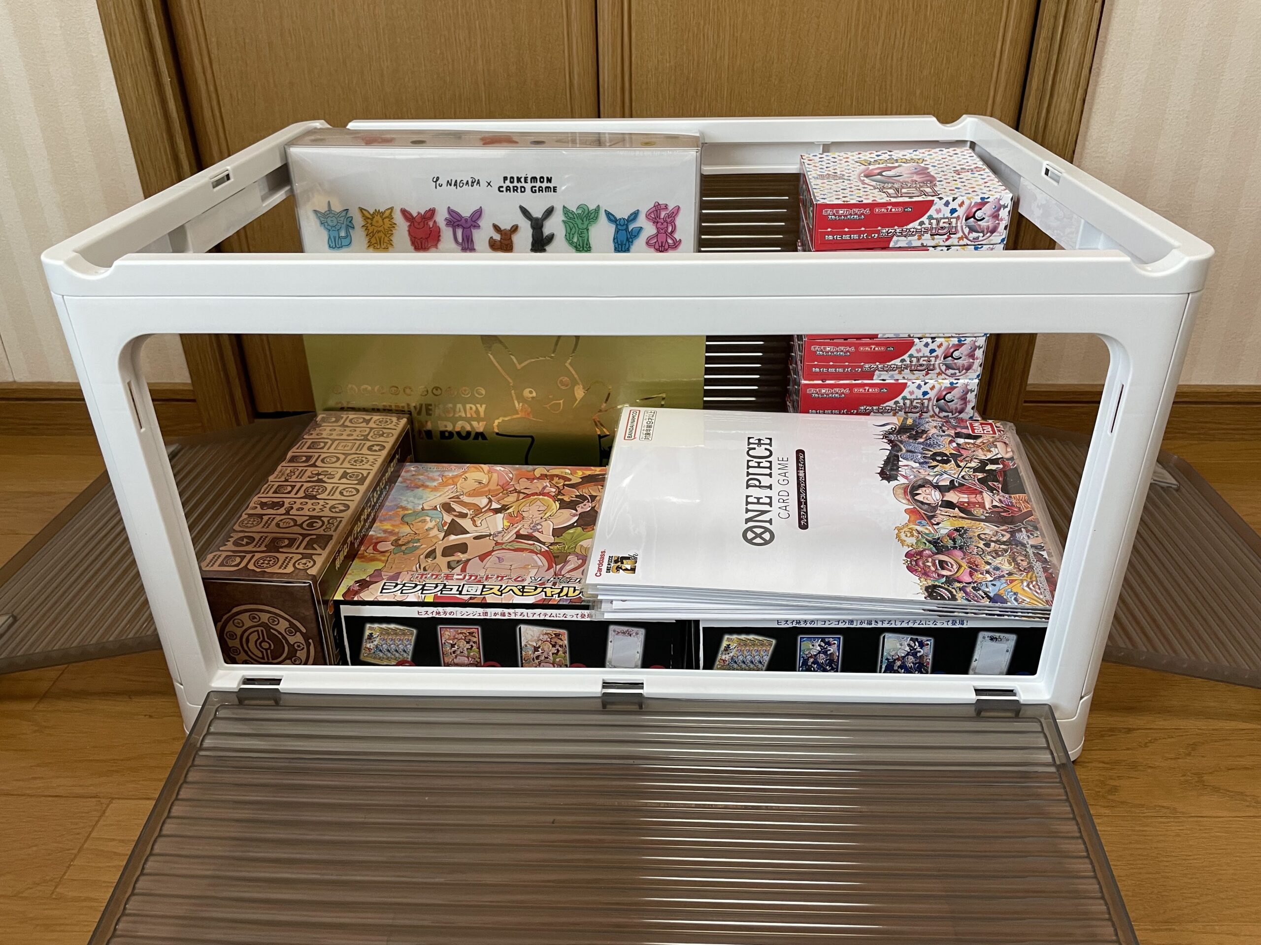 100個限定】コンテナボックス ポケモンセンターオンライン