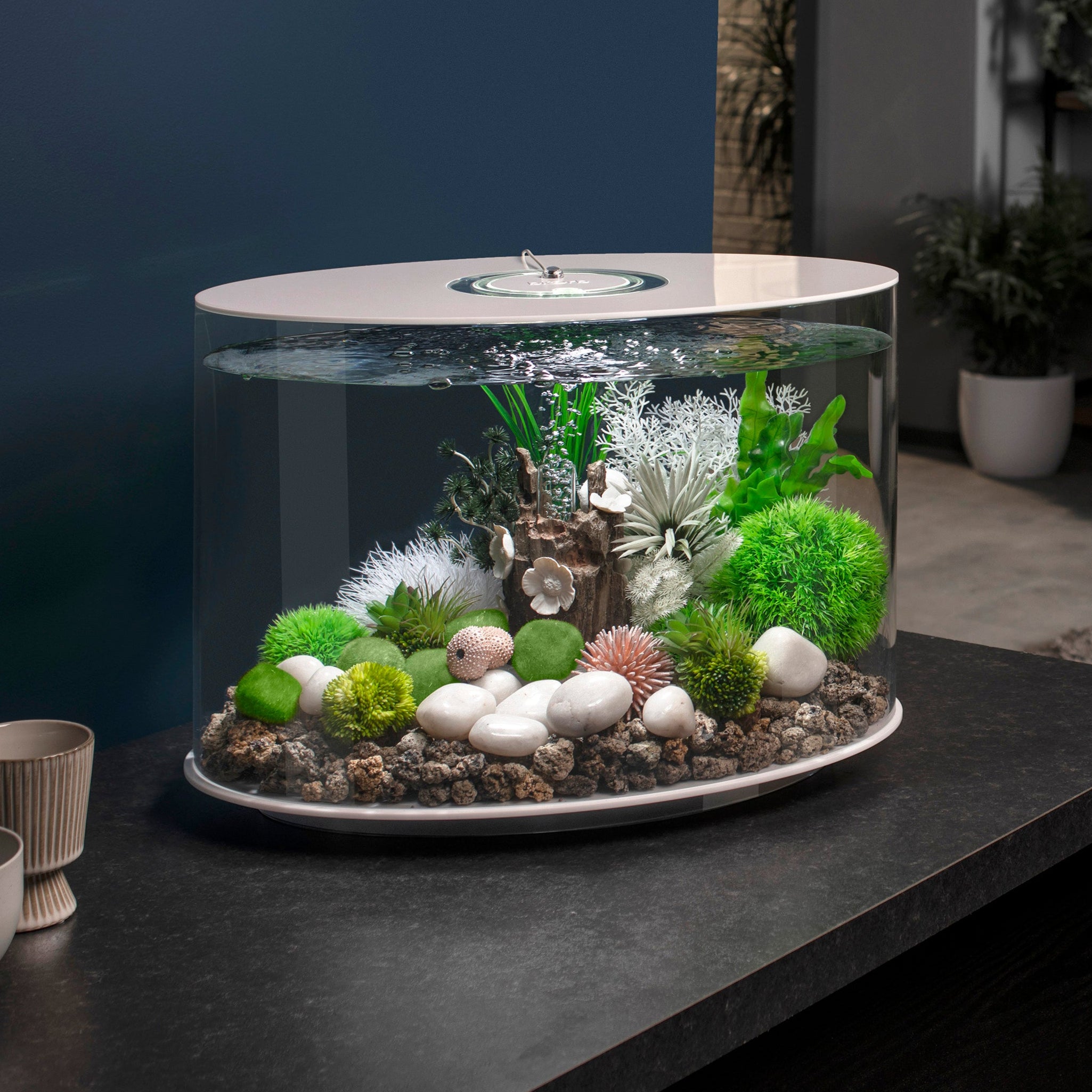 LOOP 30 Aquarium with MCR Light - 8 gallon – biOrb