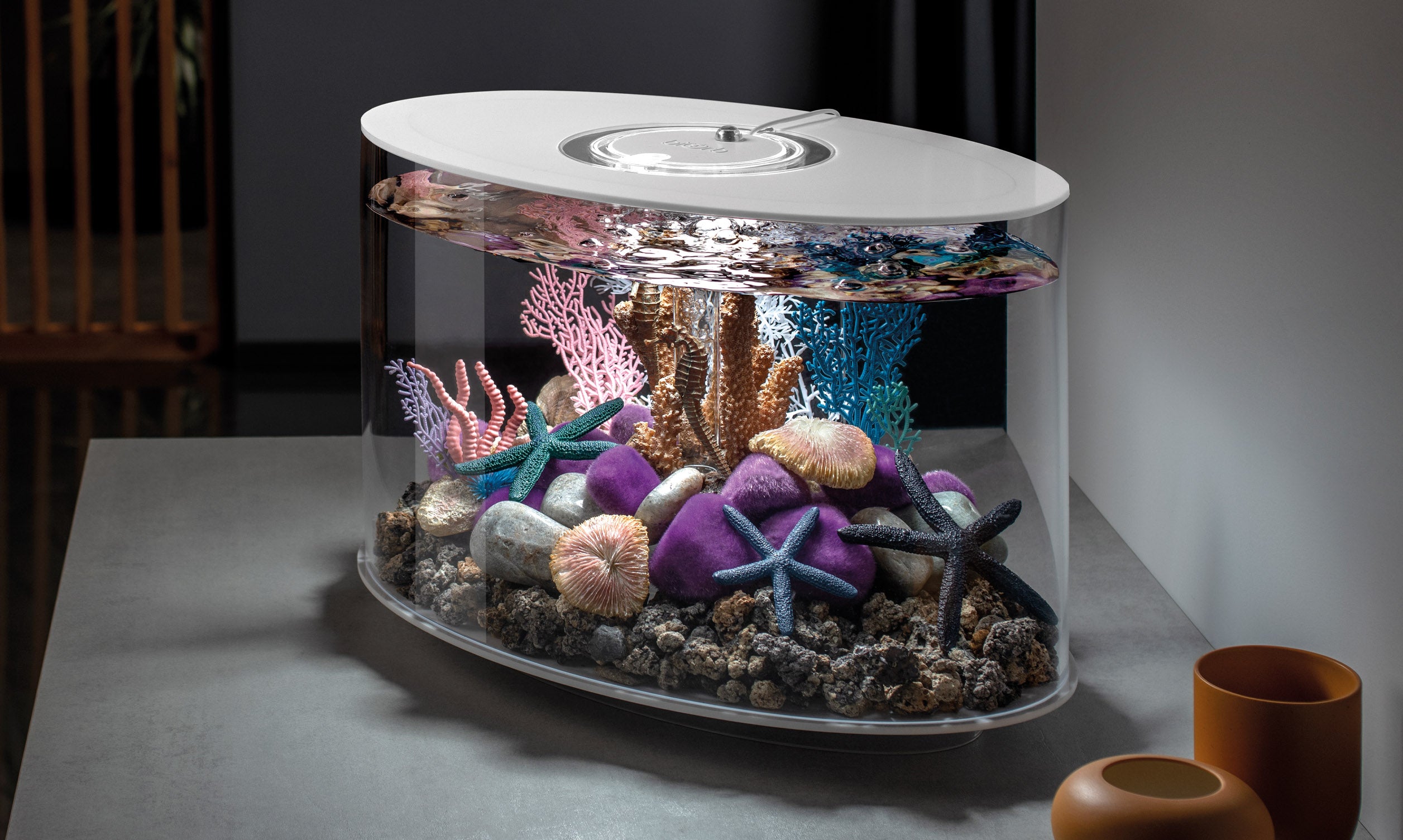 LOOP 30 Aquarium with Standard Light - 8 gallon – biOrb