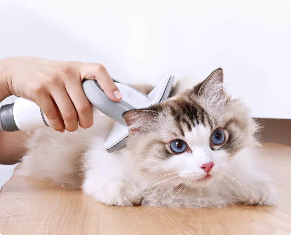 Pet Grooming Vacuum Kit G1 Pro 7-in-1 | MOVA US