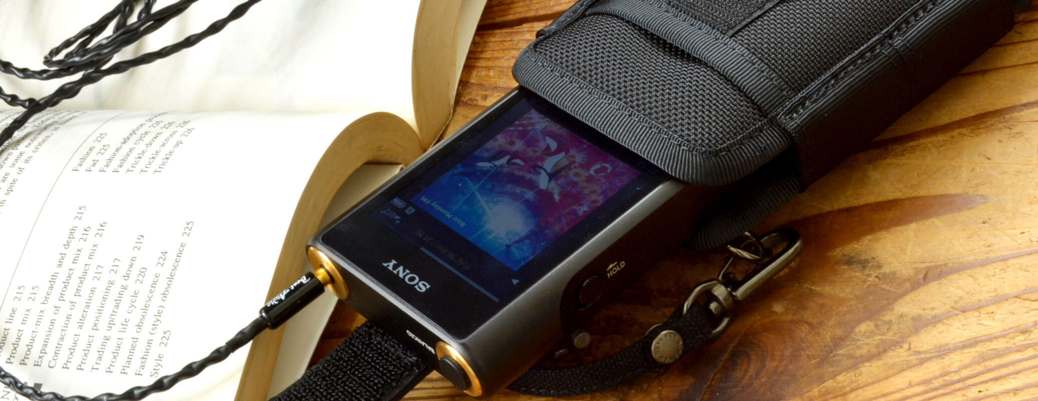 D860,D493：SONYウォークマン WM1Z／WM1A用 縦型キャリングケース