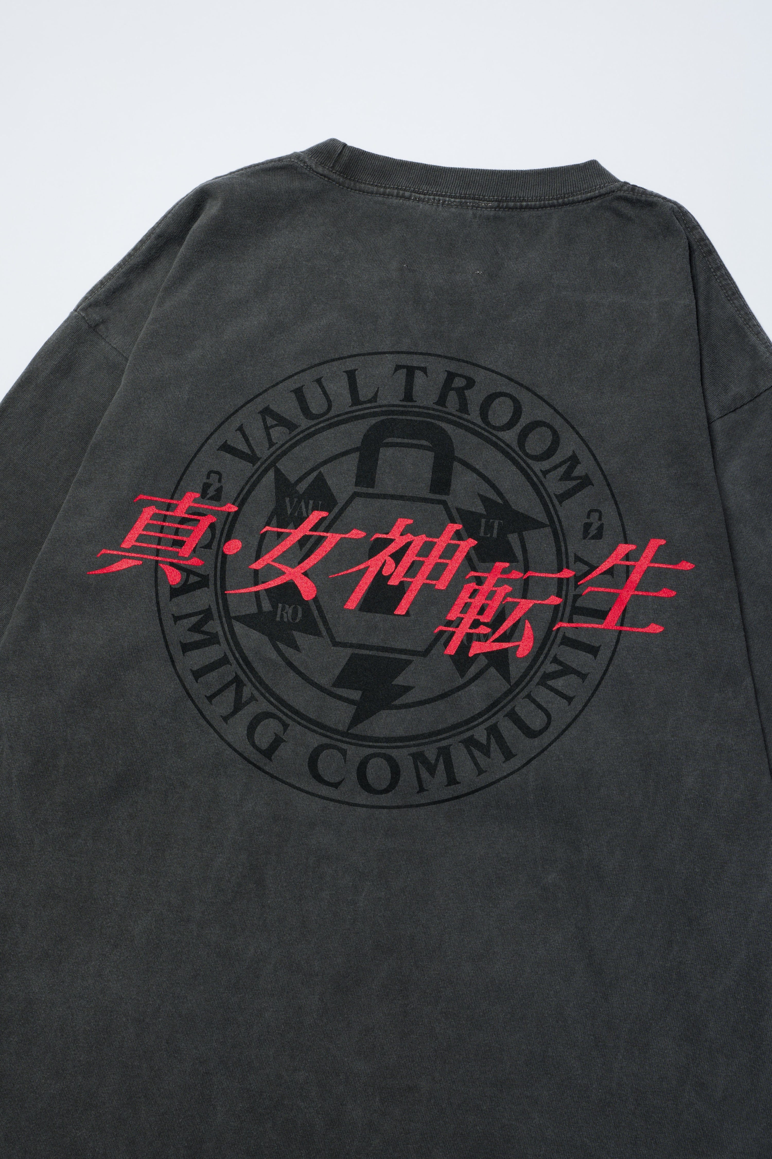 VAULT FROST TEE – VAULTROOM