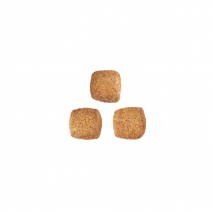 ニュータードケア（避妊・去勢後 猫用 ドライ） | ロイヤルカナン療法