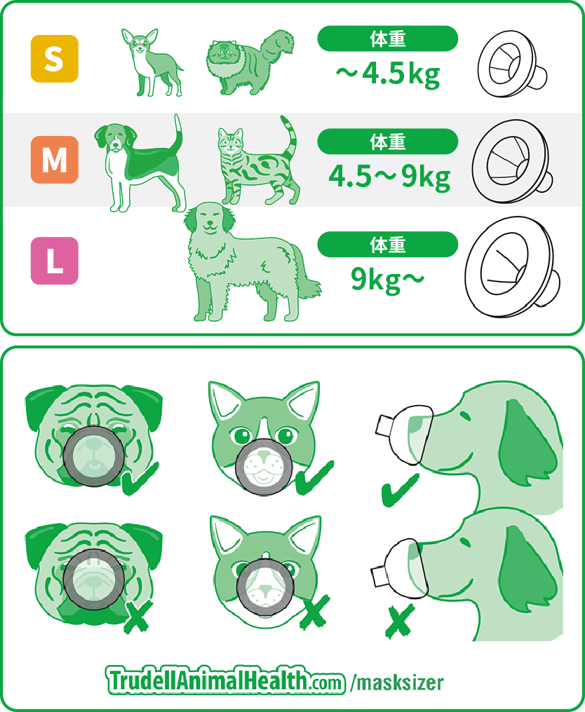 エアロキャット・エアロドッグ - 患部に直接薬剤を届け、安全な疾患管理を