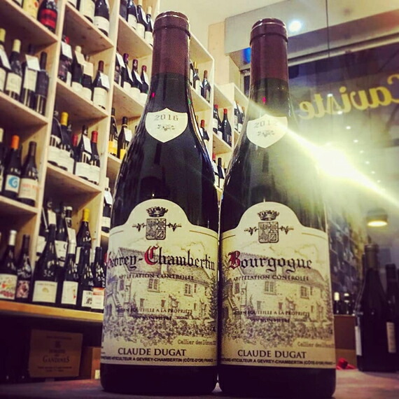 ドメーヌ・クロード・デュガ・ブルゴーニュ・ルージュ 2023 | YNS