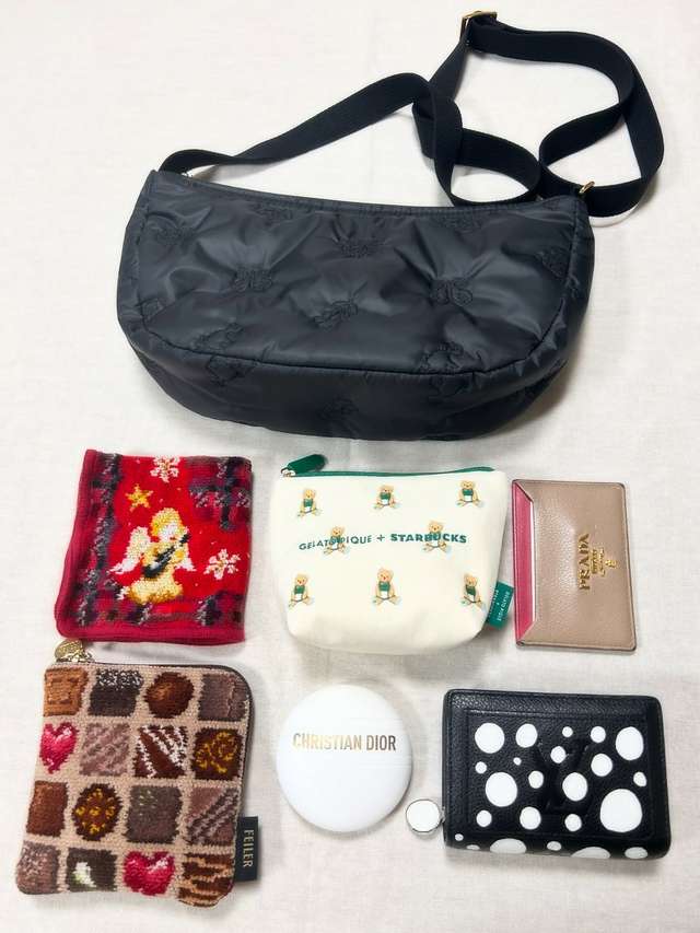 ナイツドリーム マルチケース NID-241395(ブラック): FEILER