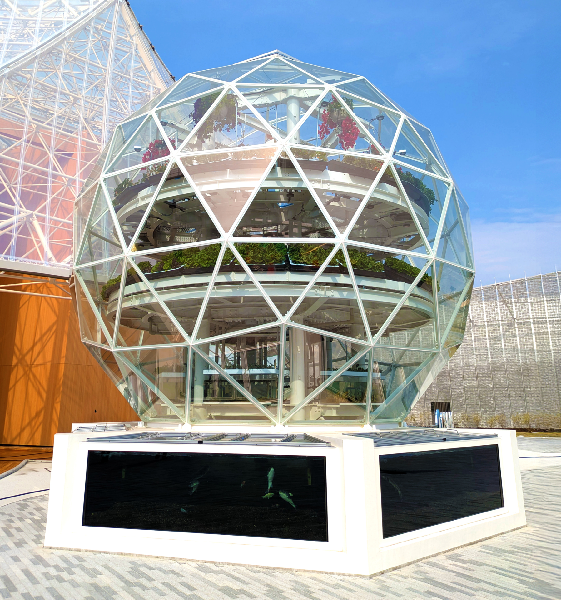 ガラスドームハウス・ガラス建築 | 日本で唯一のドーム専門企業