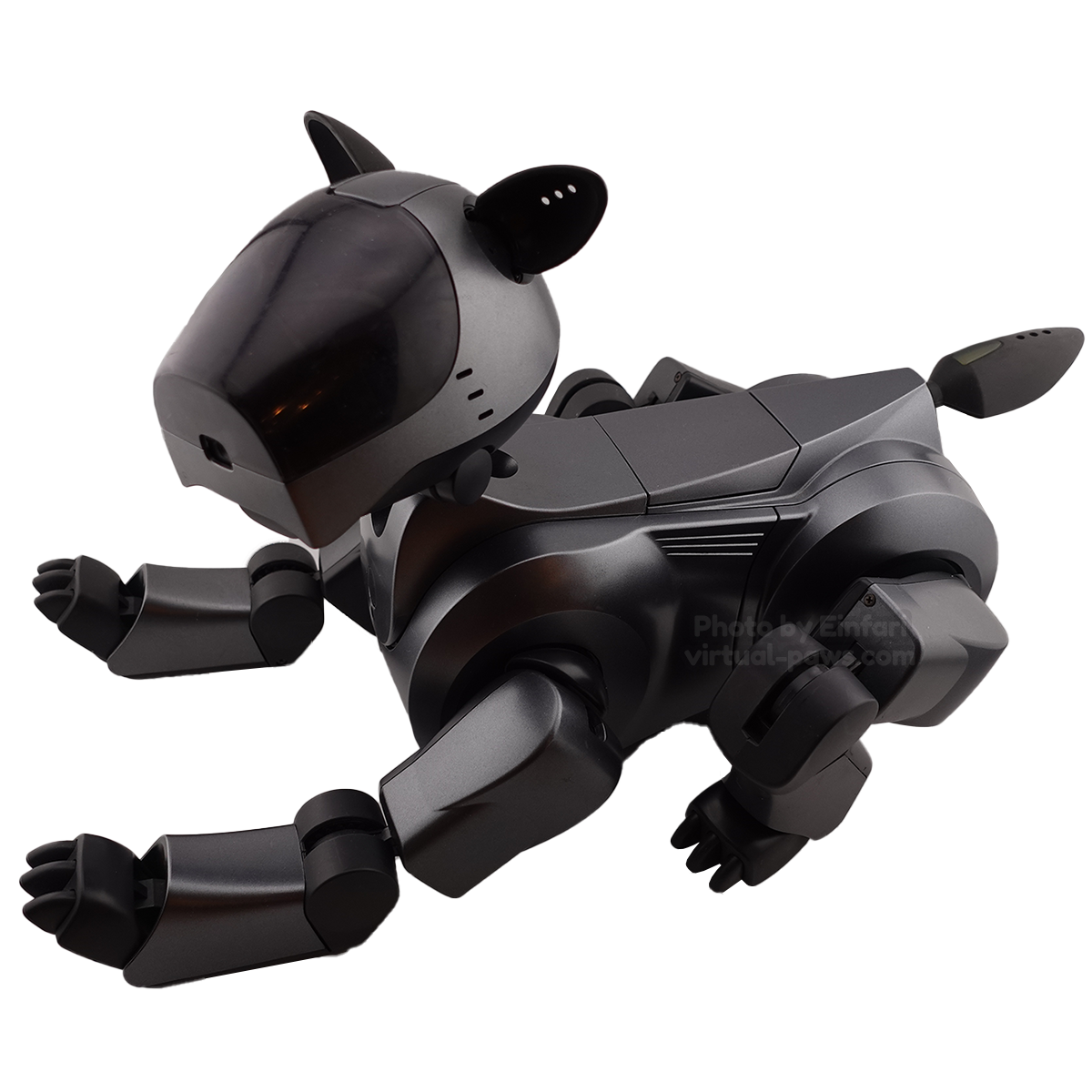 ERS-210 Aibo Overview | Learn About Aibo | Virtual Paws