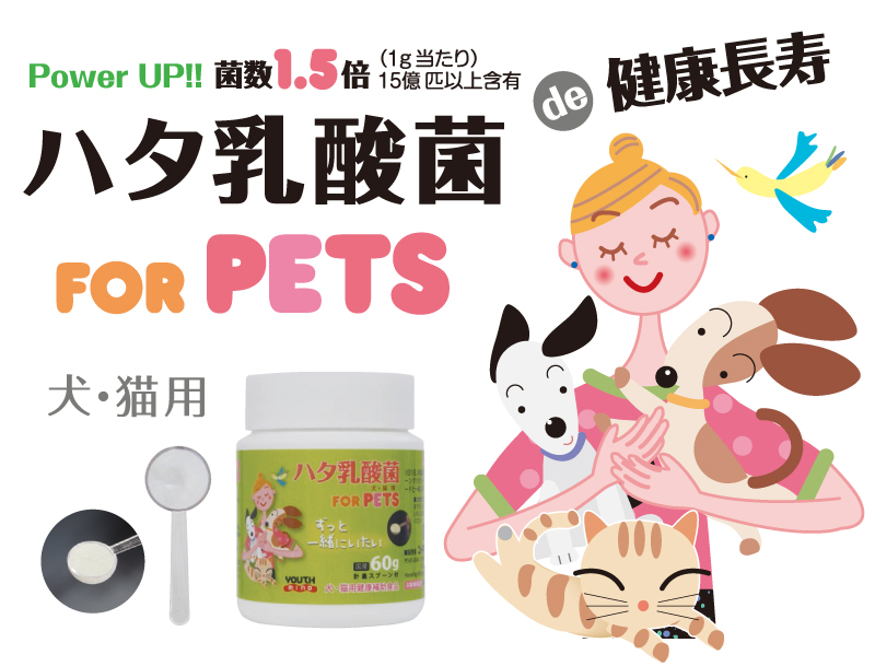 ビバおはようショップ / ハタ乳酸菌 FOR PETS 60g 犬・猫用