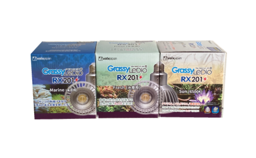Grassy LeDio RX201 / グラッシー・レディオ RX201 – ボルクスジャパン