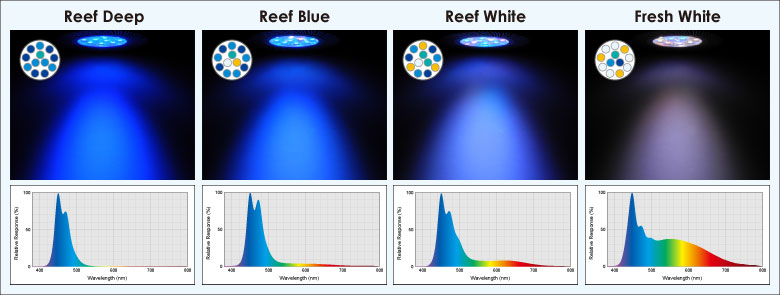 ボルクスジャパン グラッシーレディオRS122（フレッシュW）&レディオ