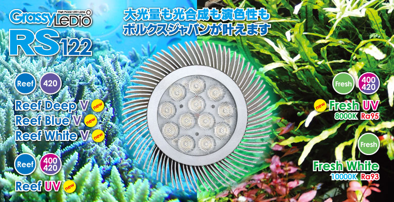 新Grassy LeDio RS122 / グラッシー・レディオ RS122 v2 – ボルクス