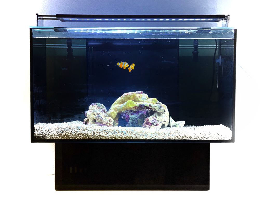 新品 ジェックス グラステリアAGS OF－450 アグス