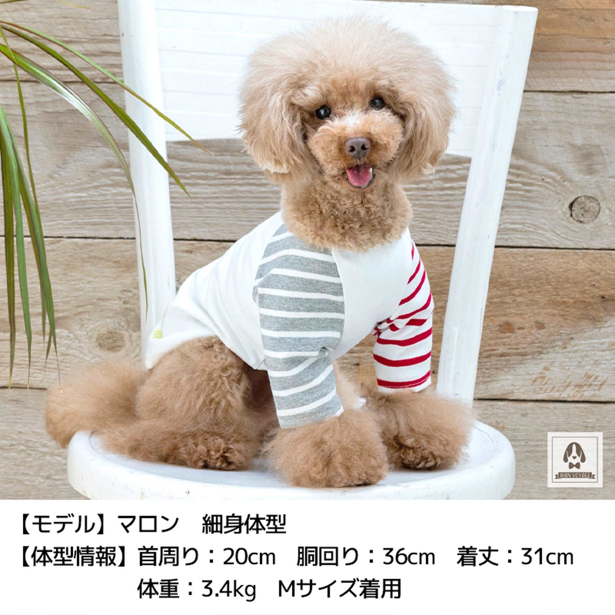 犬服 SS わんこの普段着 ジェシカ dogwear ペット用品 犬服 S わんこの