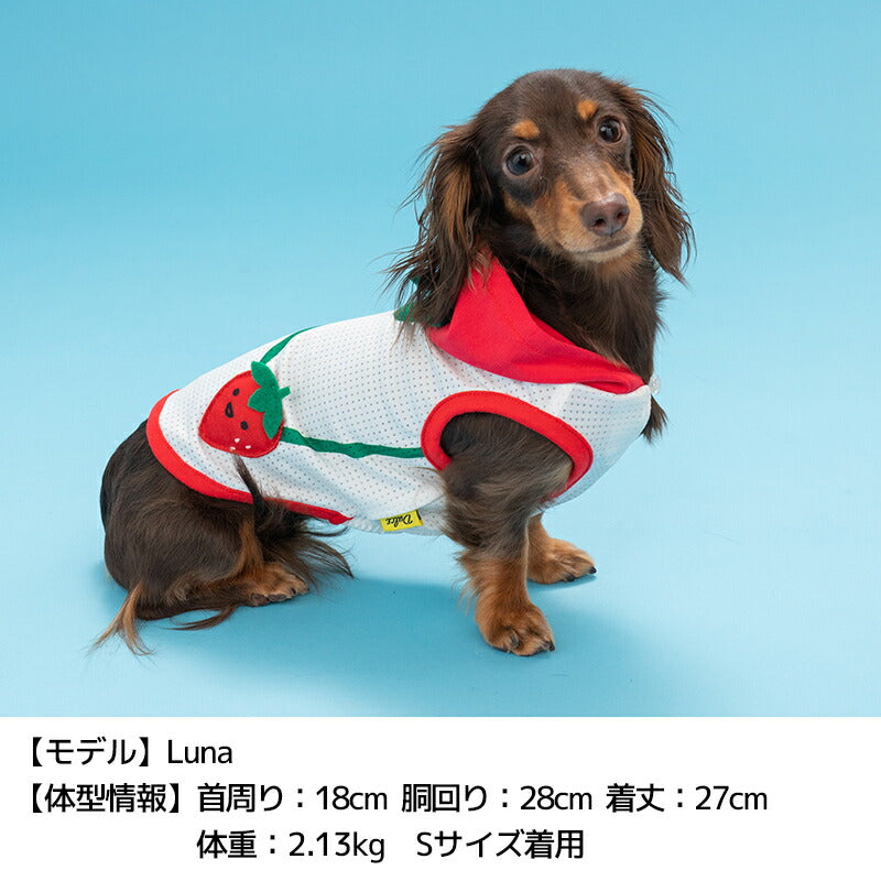 犬服 S わんこの普段着フルーツカシェボーダー