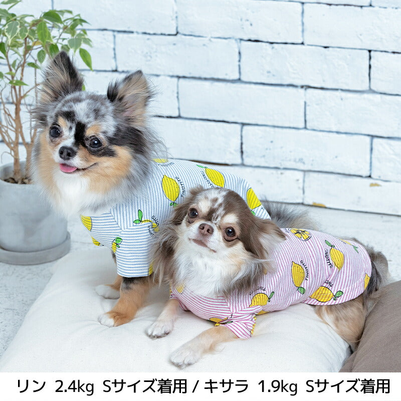 レモン柄Tシャツ XS/S/M/L/XL/XXL TINOTITO -ティノティート- 犬服