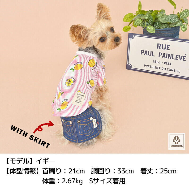 レモン柄Tシャツ XS/S/M/L/XL/XXL TINOTITO -ティノティート- 犬服
