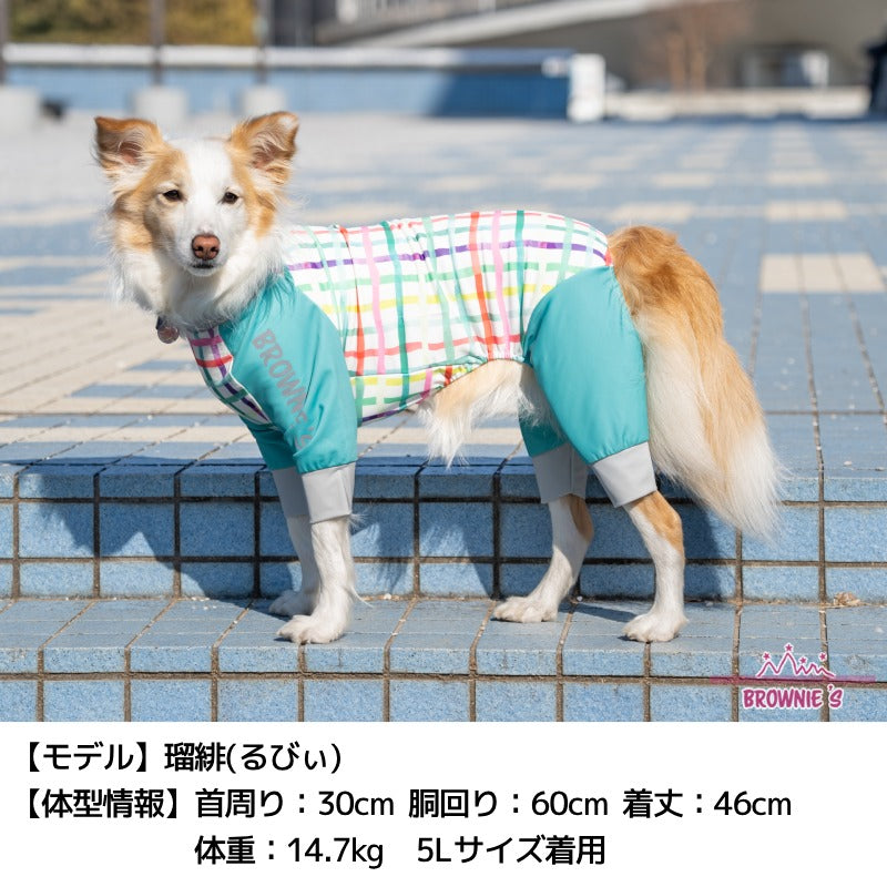 2025年モデル】アクティブロンパース XS/S/M/L/XL/XXL/DXS/DS/DM/DL