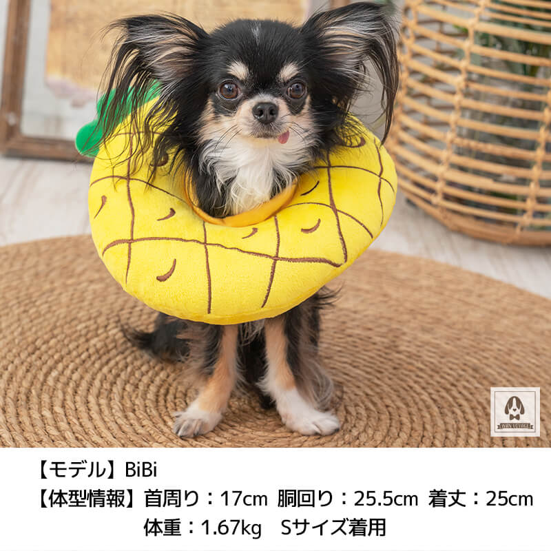 ペリーブカラークッション(フルーツ） S/M/L Solgra-ソルグラ- 犬用