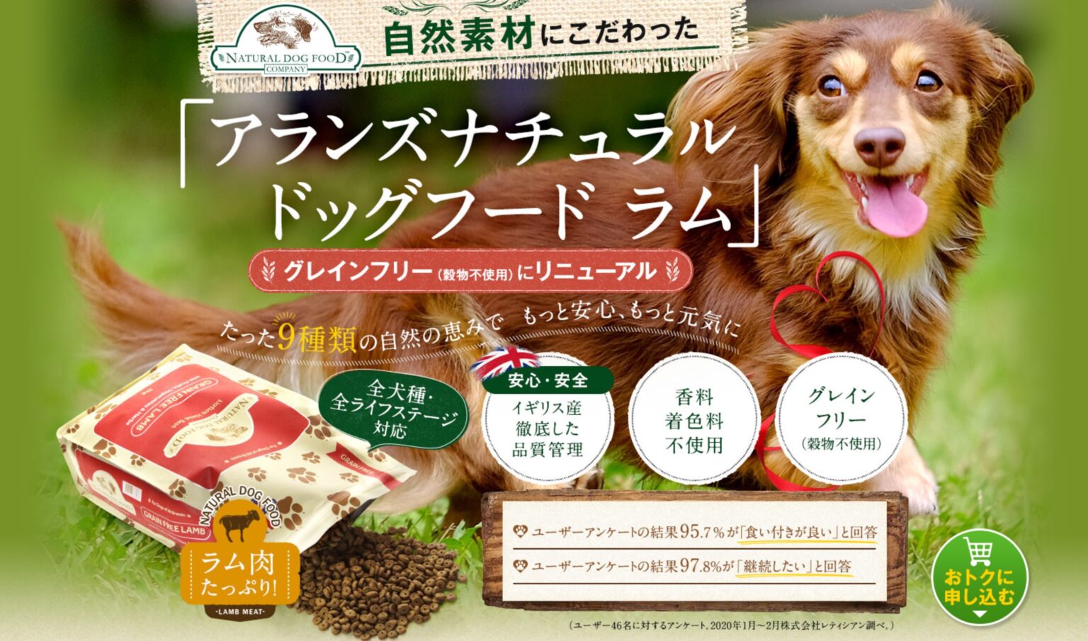 アランズナチュラルドッグフードの口コミ・評判は？安全性についても評価！