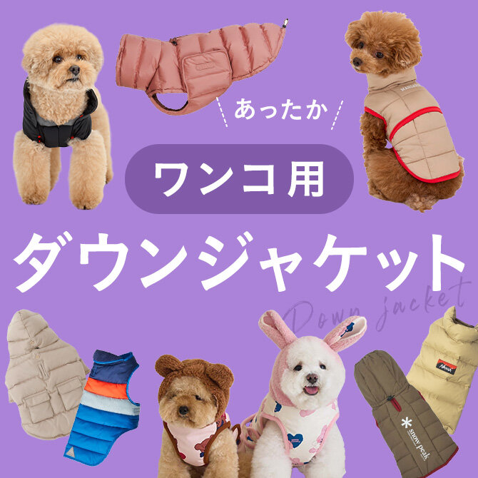 グラマーイズム ダウン M ヴァネッサ（Vanessa） グラマーイズム