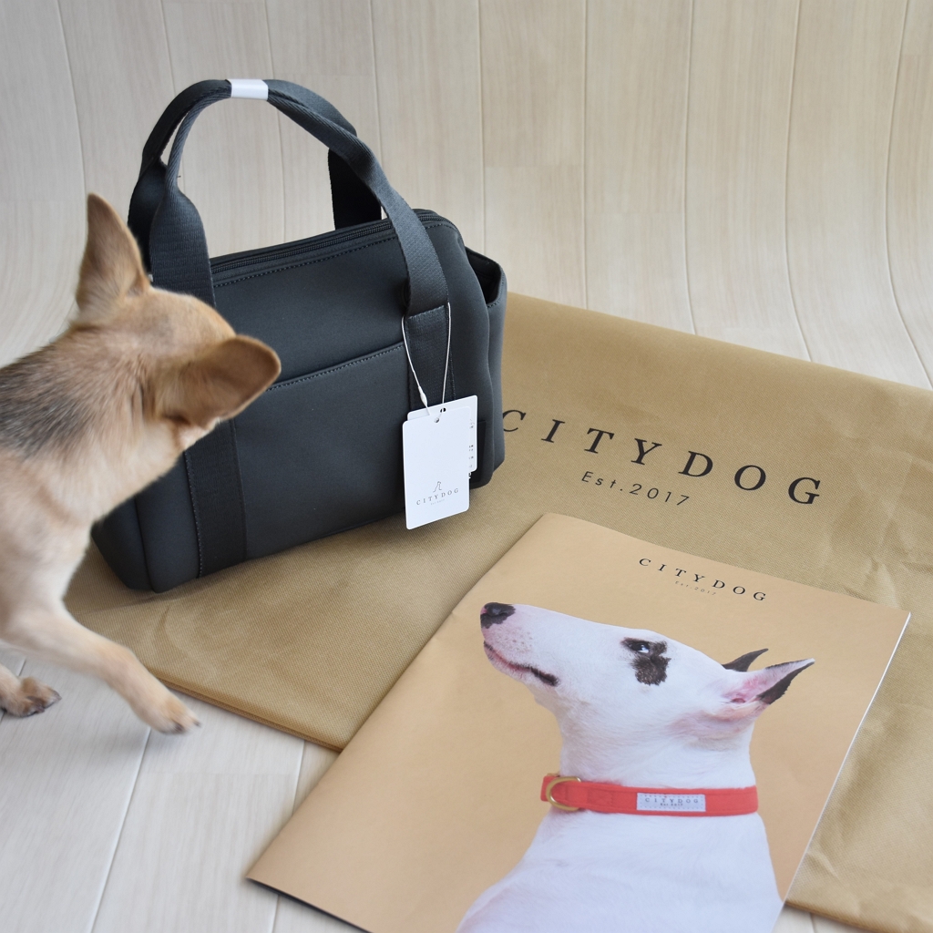 DEAN&DELUCA × CITYDOG】コラボお散歩バッグが届きました【ストロール