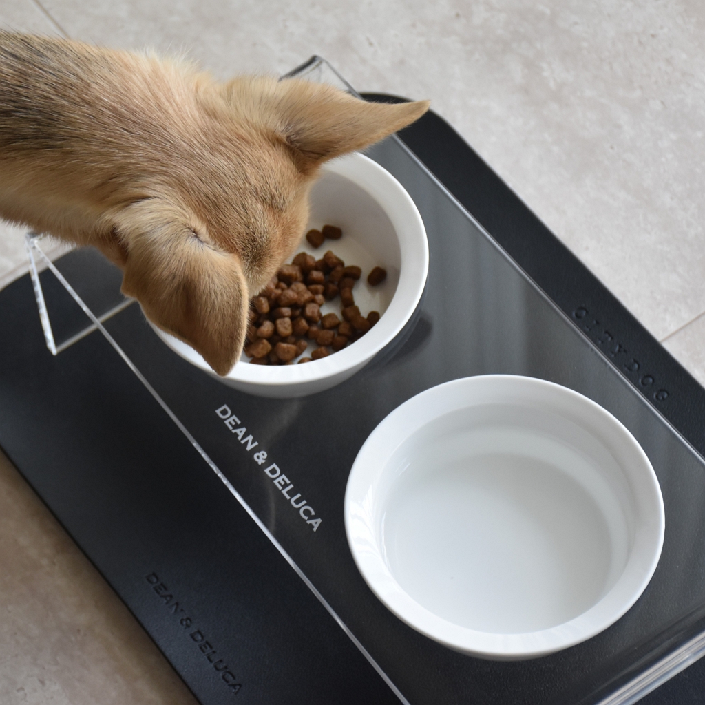 DEAN&DELUCA CITYDOG フードスタンド 新品 DEAN ＆ DELUCA ｜ CITY DOG