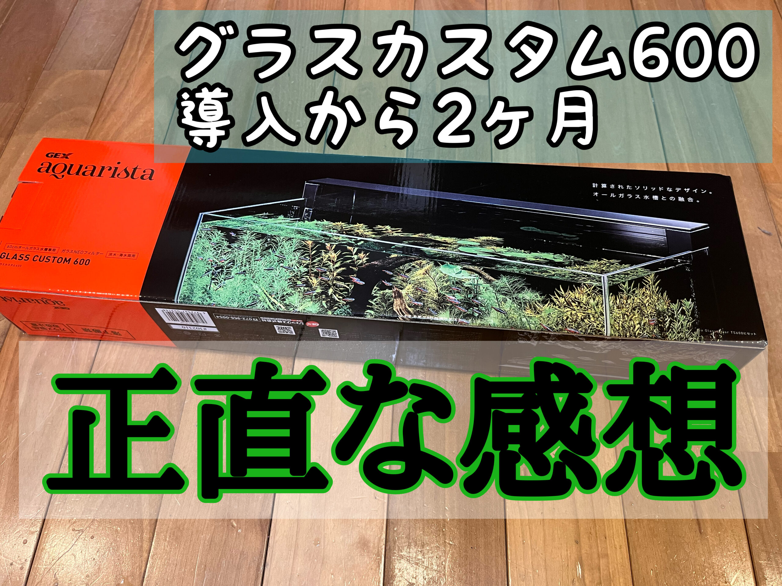 未使用品！ GEX アクアリスタ グラスカスタム600 上部フィルター 類の
