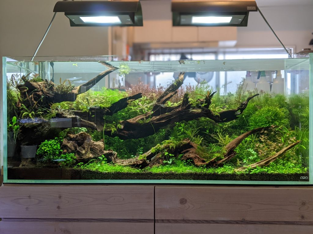 万天石アクアリウムADA 山谷石 アクアリウム ADA 石組レイアウト 水草