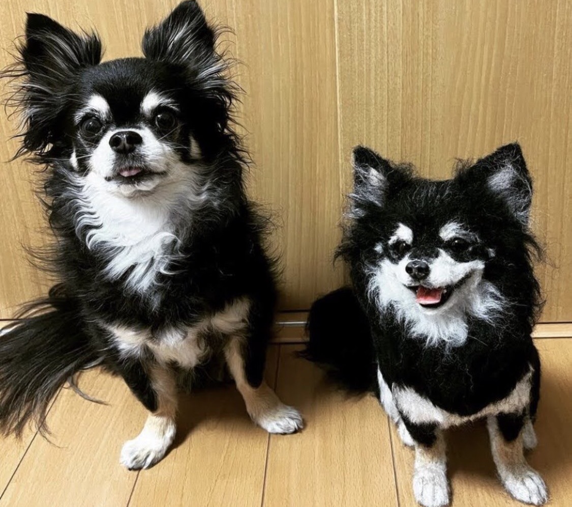 注文 わんこ限定 わたわたペット 分身の術 小さな羊毛フェルト作品