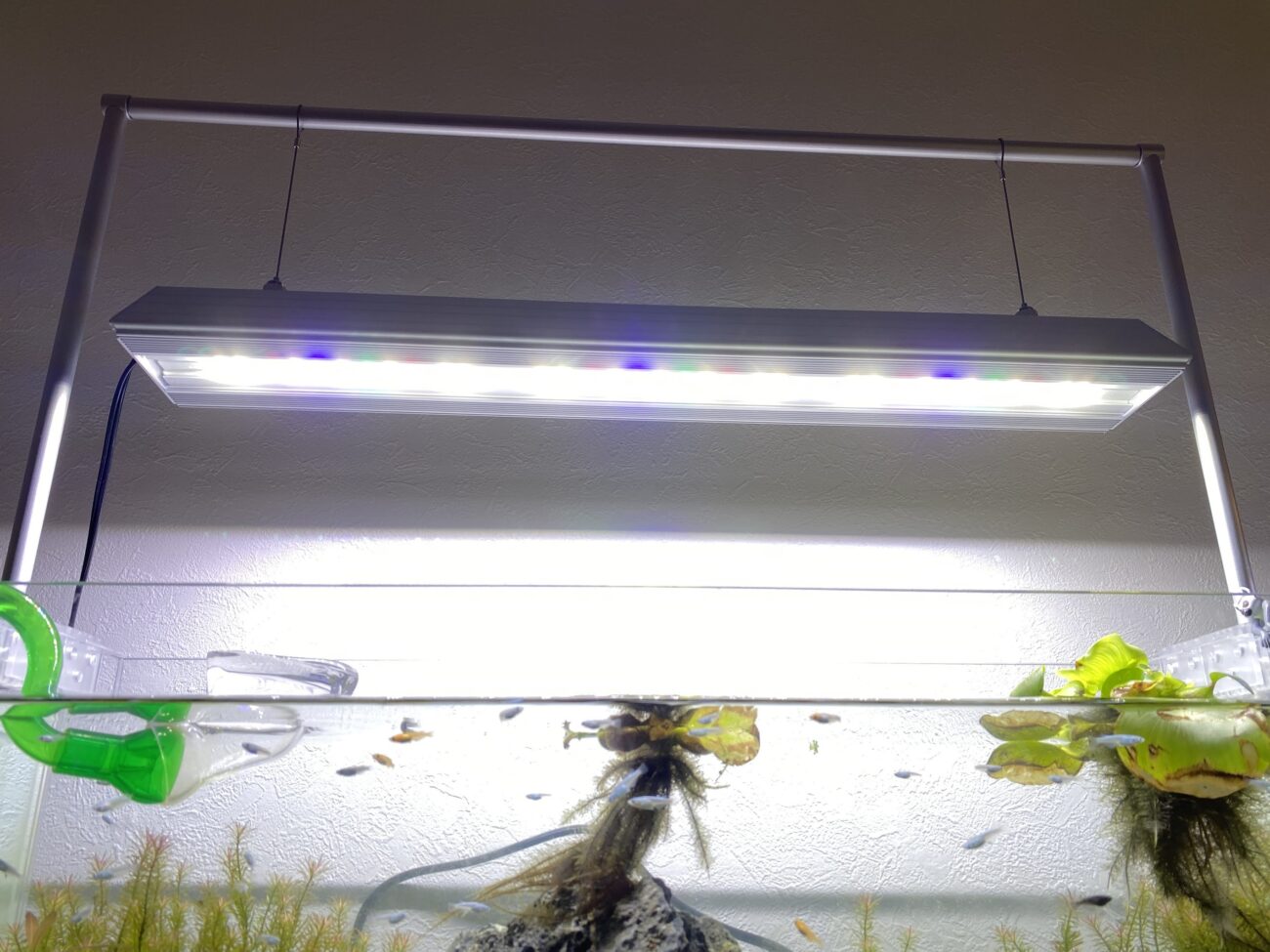 アクロ トライアングル グロウ LEDライト 60cm 用 2本セット アクロ