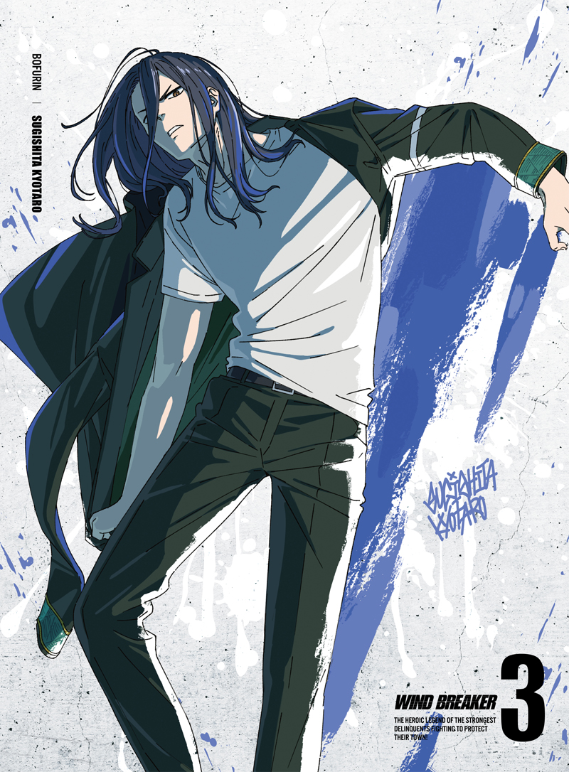 希少】WINDBREAKER アニメイト DVD 全巻 収納BOX付き Blu-ray&DVD | TV