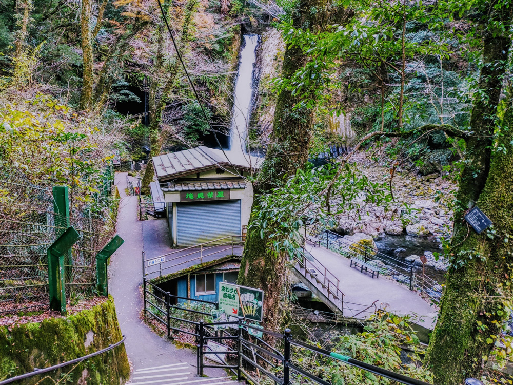 伊豆旅行で外せない立ち寄りスポット！】浄蓮の滝：大自然のパワーと癒