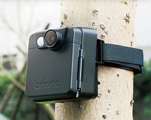 長期タイムラプスカメラ(モーション起動カメラ) | クリマテック株式会社