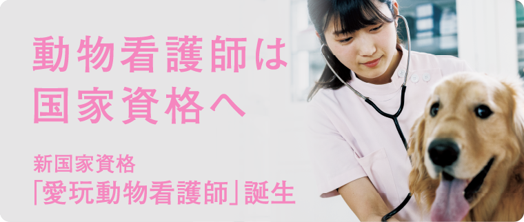 広島県初の認可校】アナブキは「愛玩動物看護師(国家資格)」指定養成校
