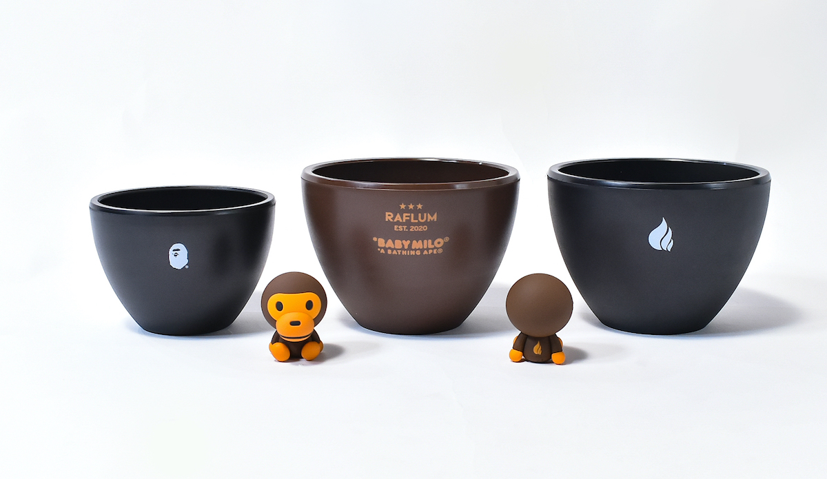 ア ベイシング エイプが希少植物プランツショップ「RAFLUM」 とコラボ