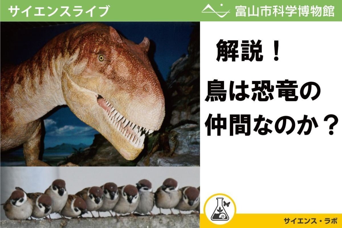 べネッツイアンビンテージガラス 大平洋一デザイン chima様用 べネッツ