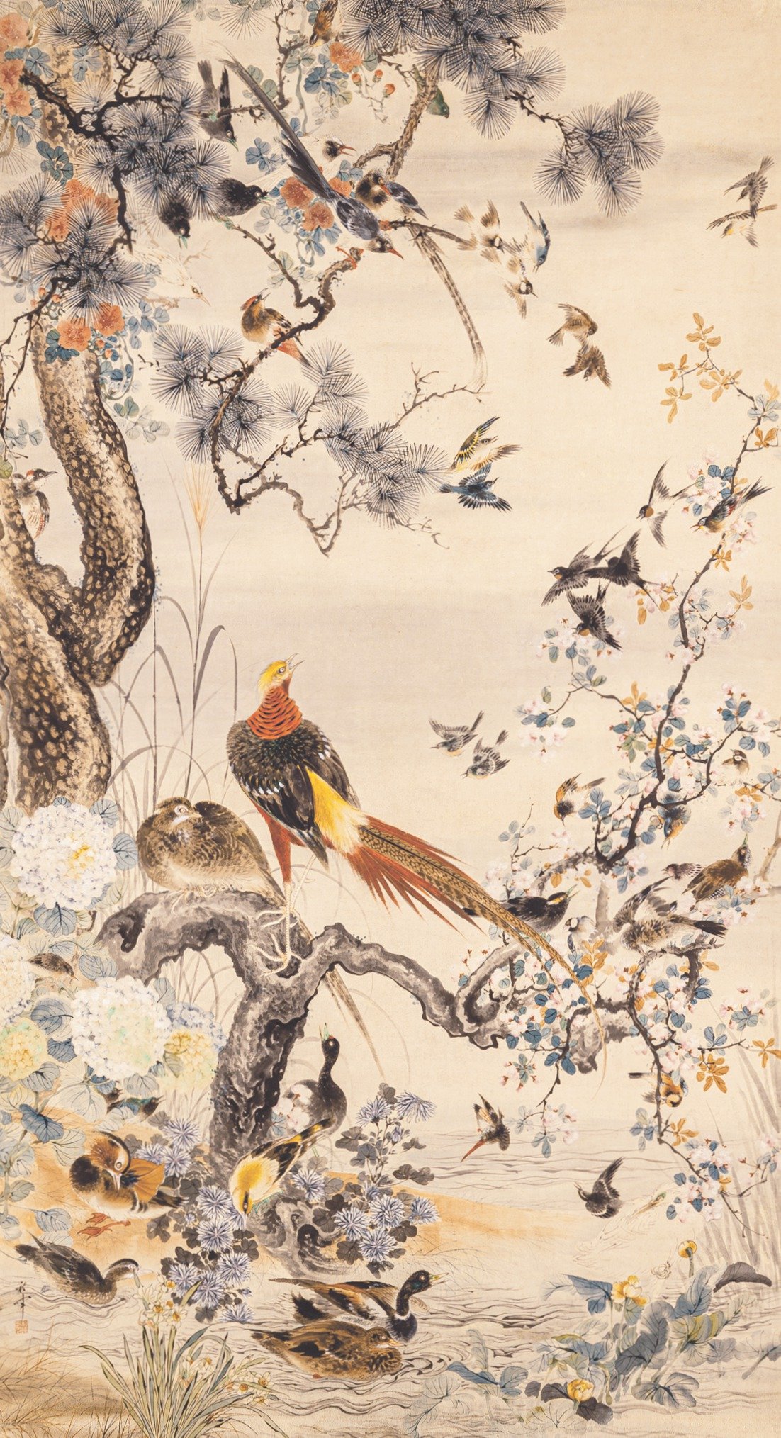 真作】曲子光男/花菖蒲図/大横物/掛軸/名家伝来/AA-229