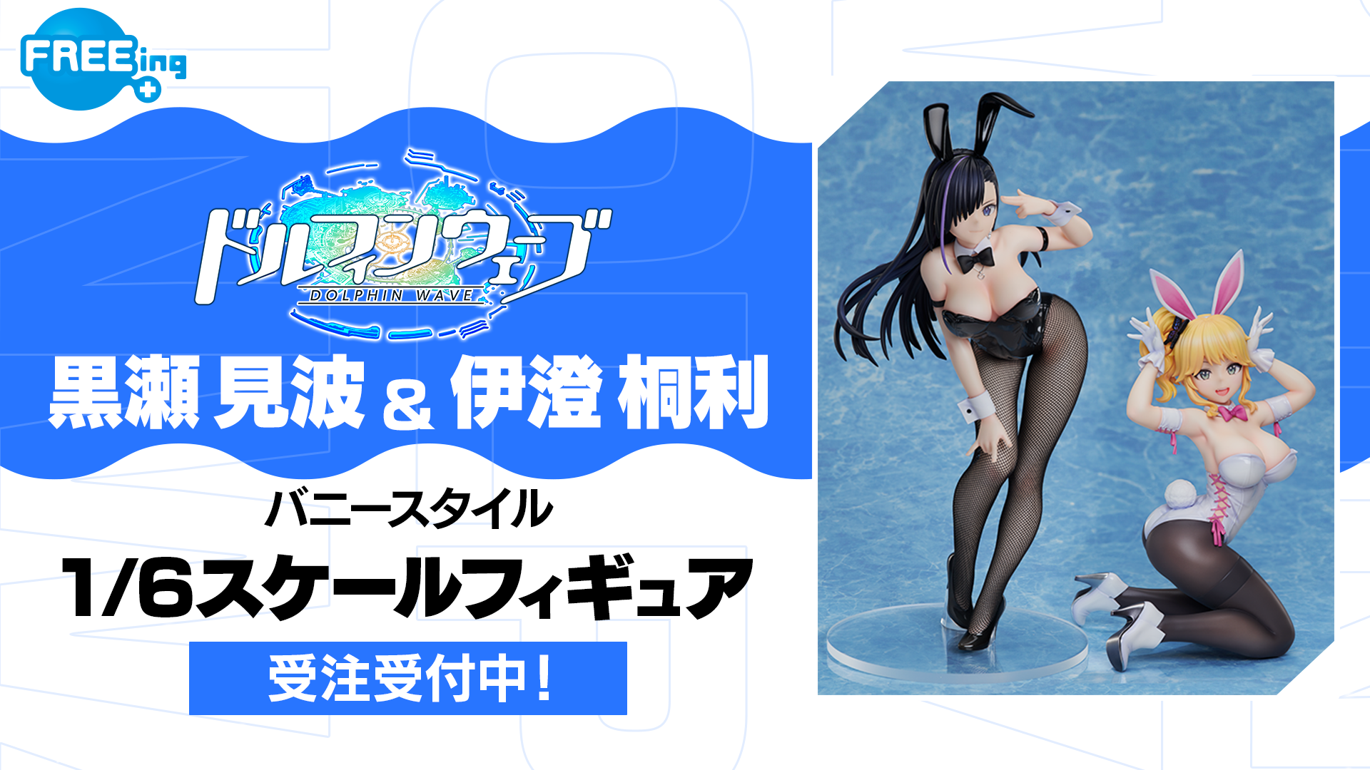 ドルフィンウェーブ商品化情報(2024～)