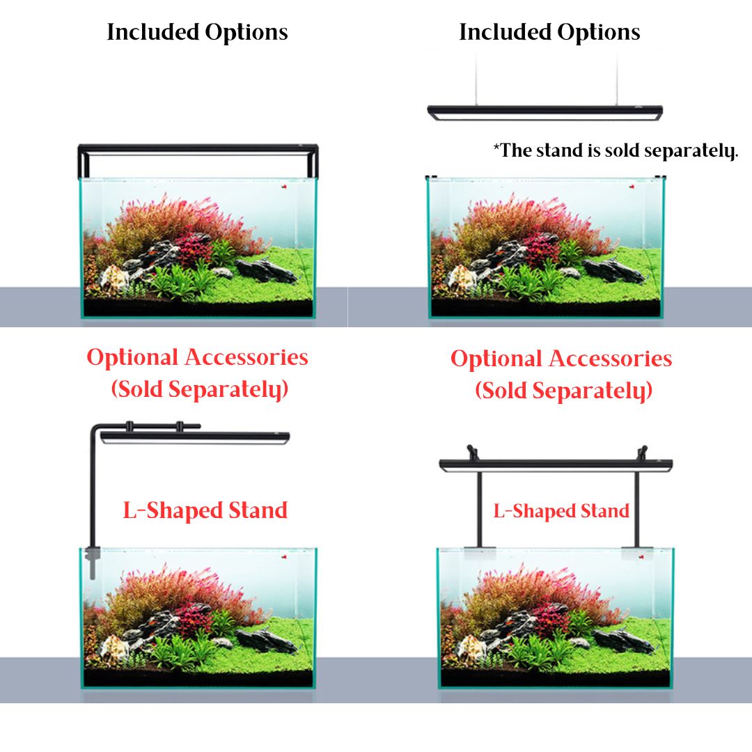WEEK AQUA NEW M Series M300 M400 M450 M600 M800 M900 M1200 PRO RGB