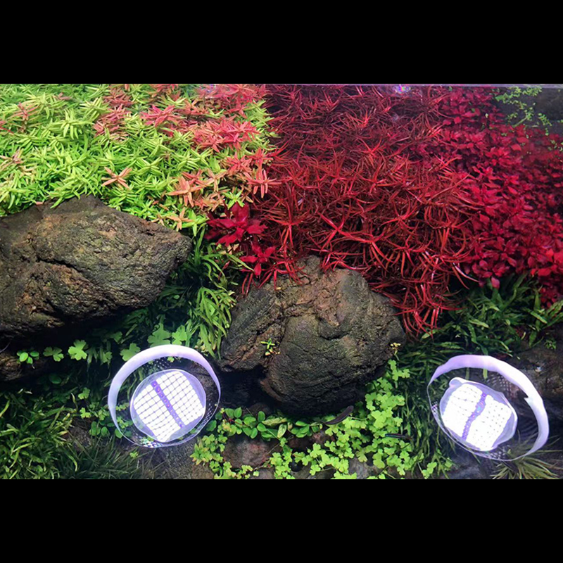 T90 RGB TH – WEEK AQUA