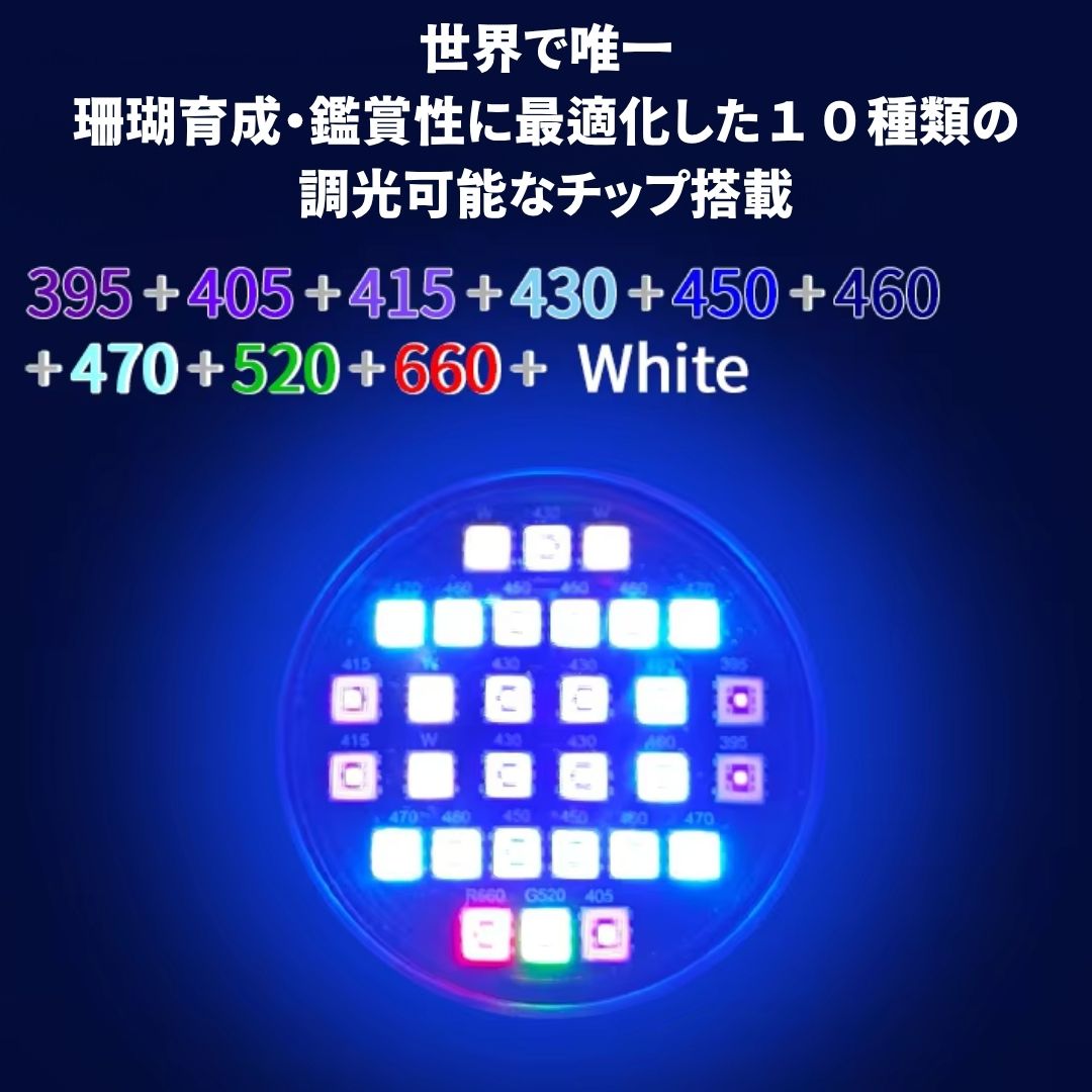 サンゴ育成海水用LEDライト Z250 SEA / Z400 SEA – WEEK AQUA