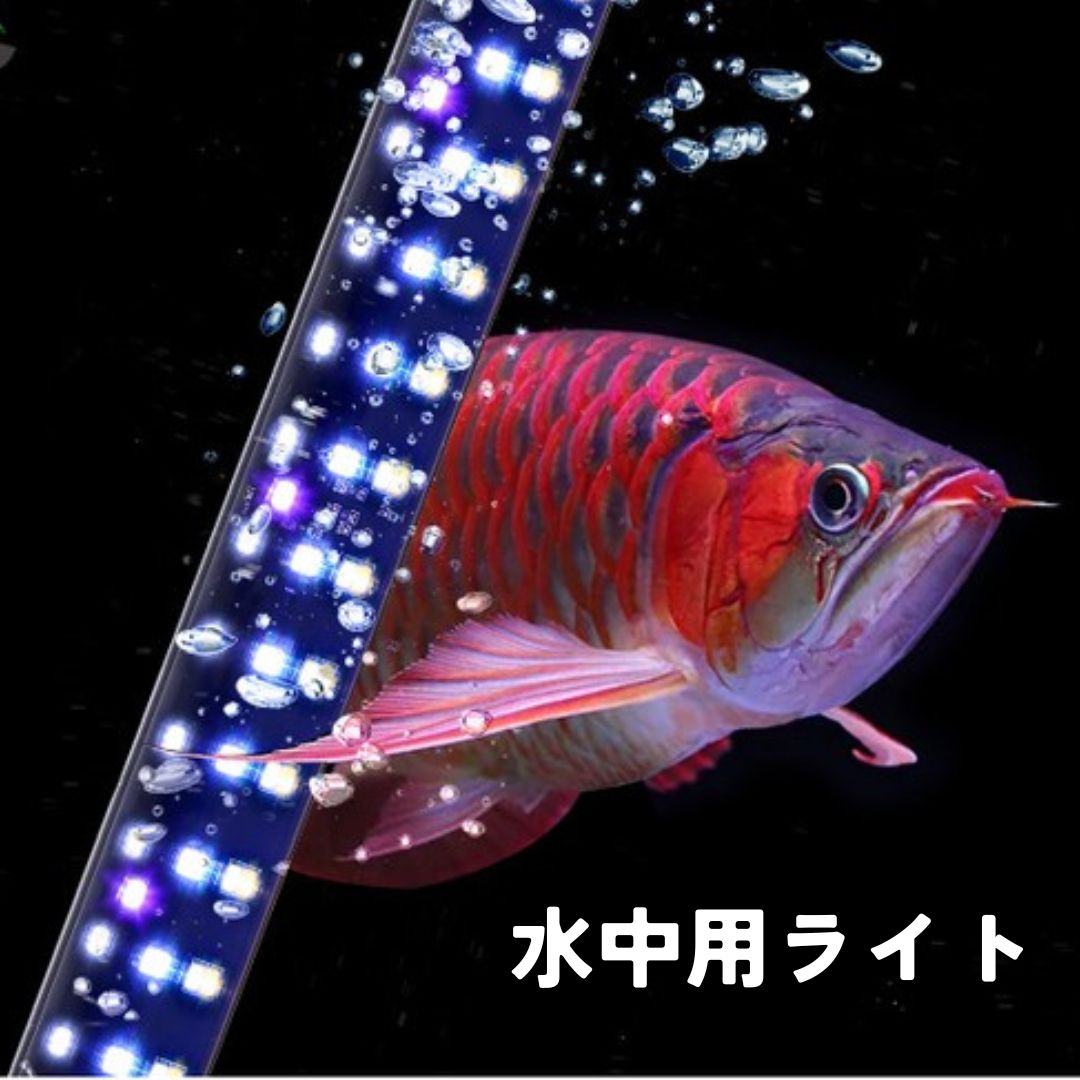 アロワナLEDライト T12 TUBE – WEEK AQUA