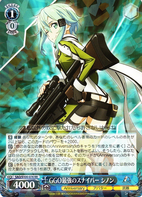 bgs10 GGO最強のスナイパーシノンSPブラックラベル 2025年最新】ggo