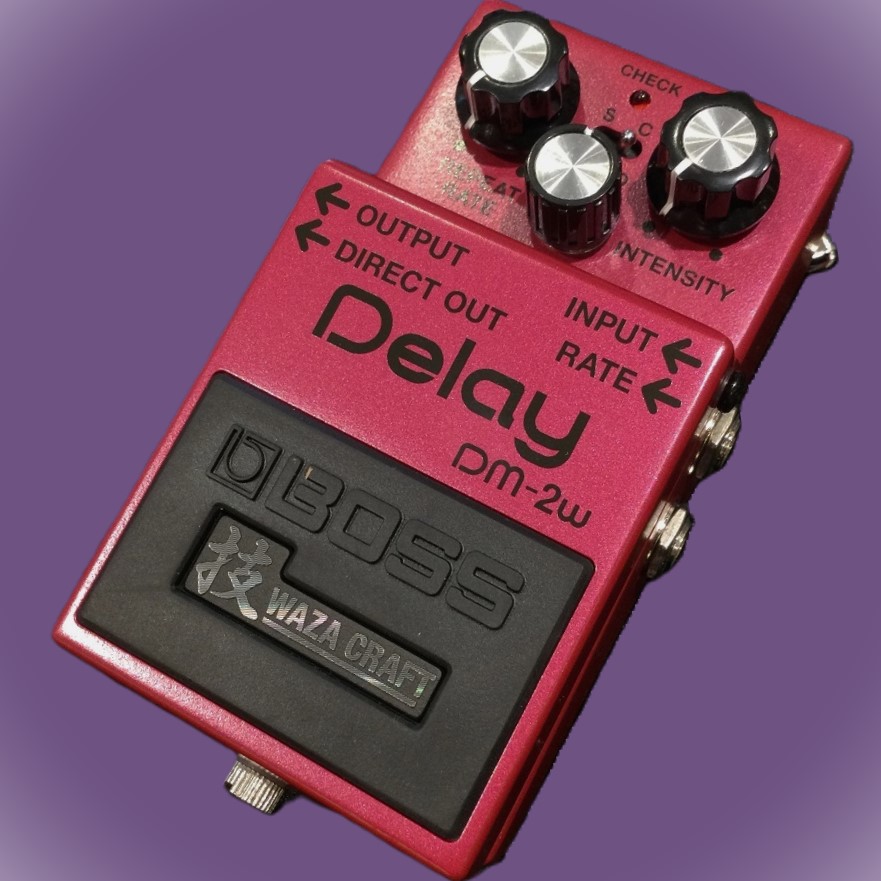 BOSS DM-2W アナログディレイ 技 WAZA CRAFT Boss DM-2W Waza Craft