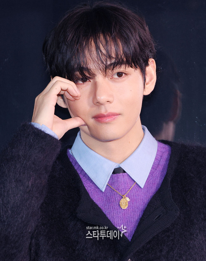 BTS V, 'National Treasure-Level Visuals'—A World-Class Star's