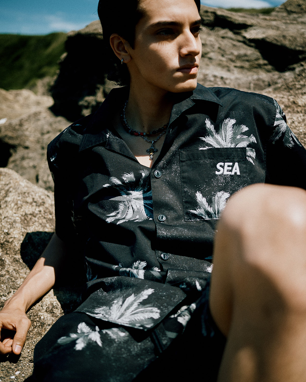 PALM TREE Collection – WIND AND SEA