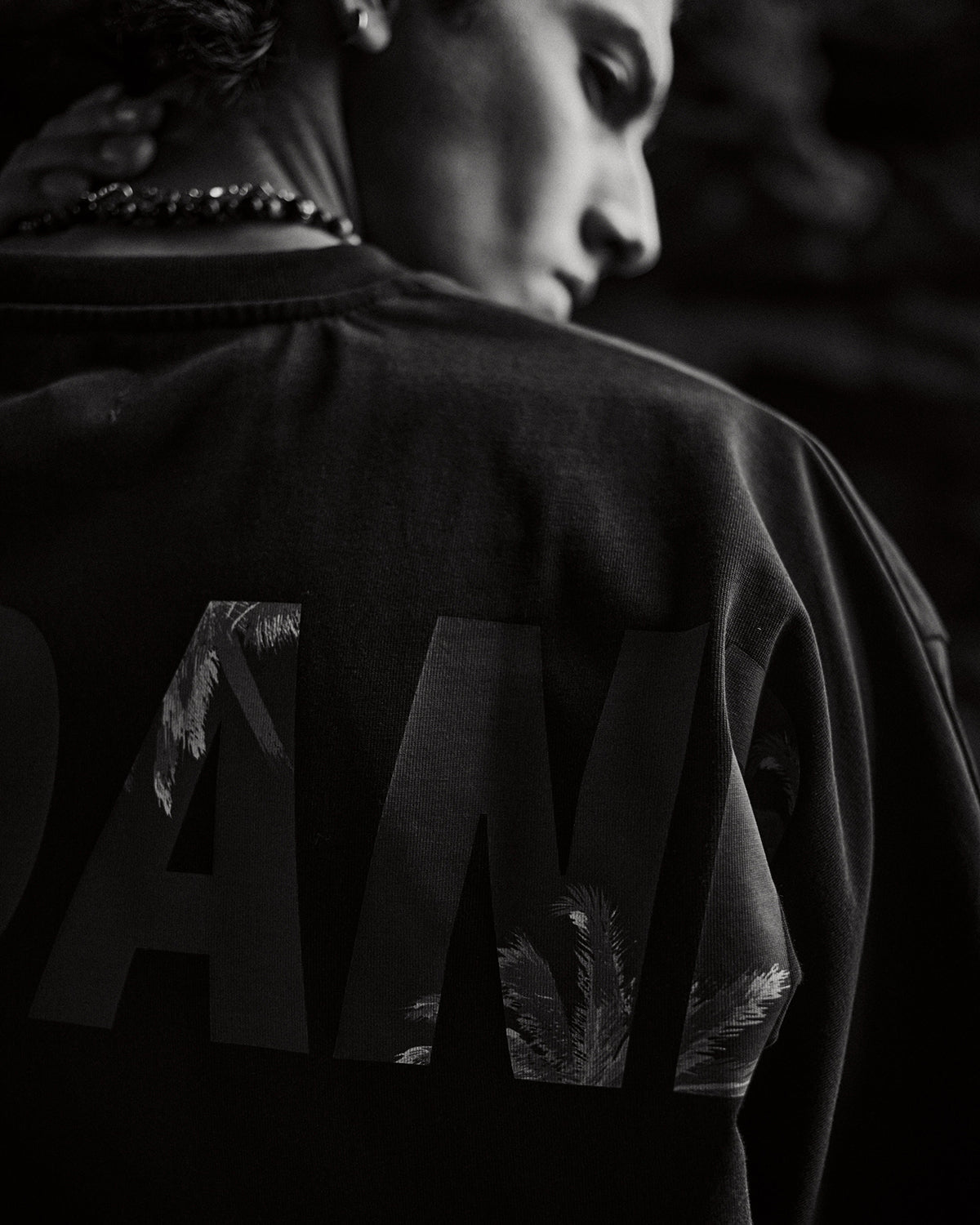 PALM TREE Collection – WIND AND SEA